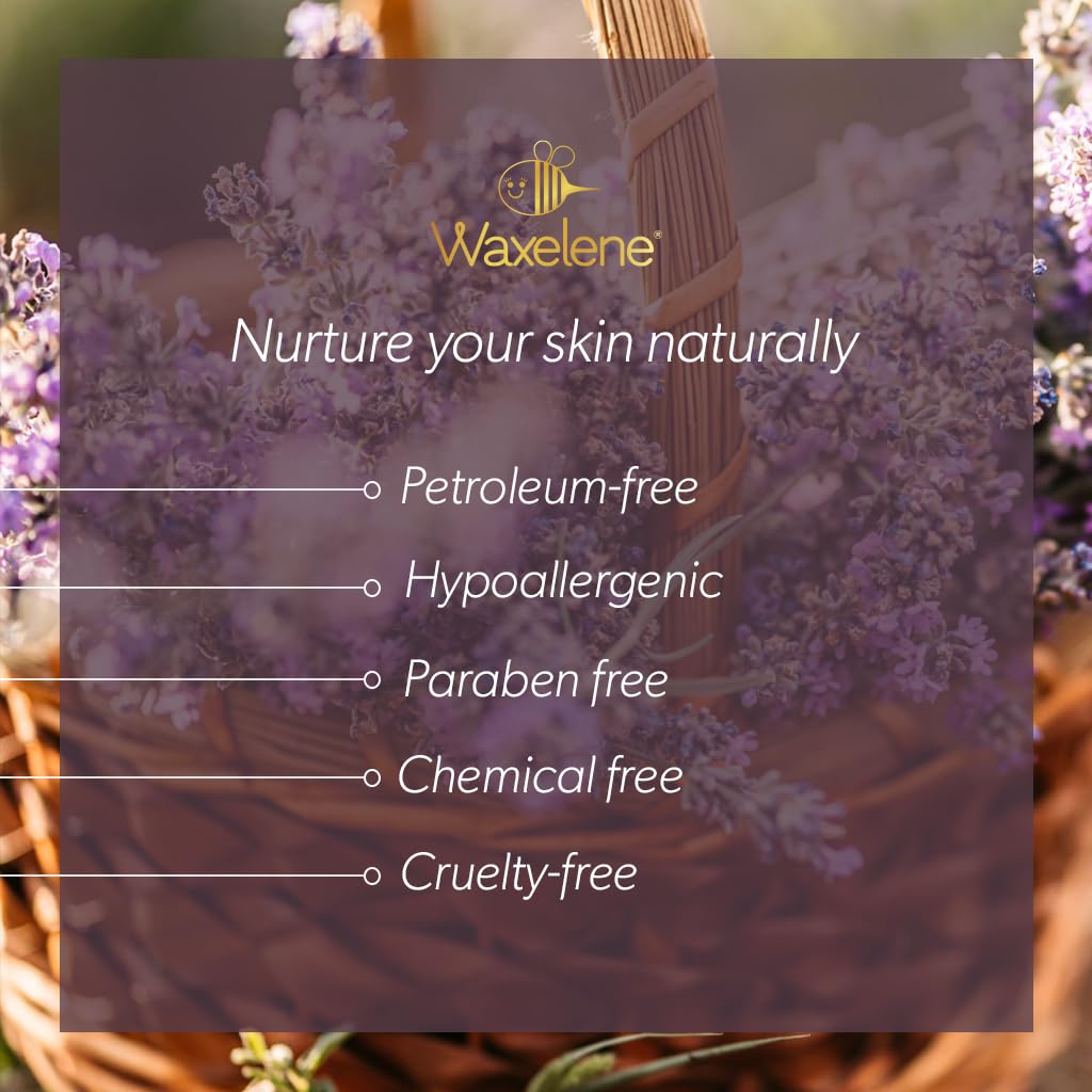 Lavender Aerated Lip Balm tin - Single Waxelene uk supplements