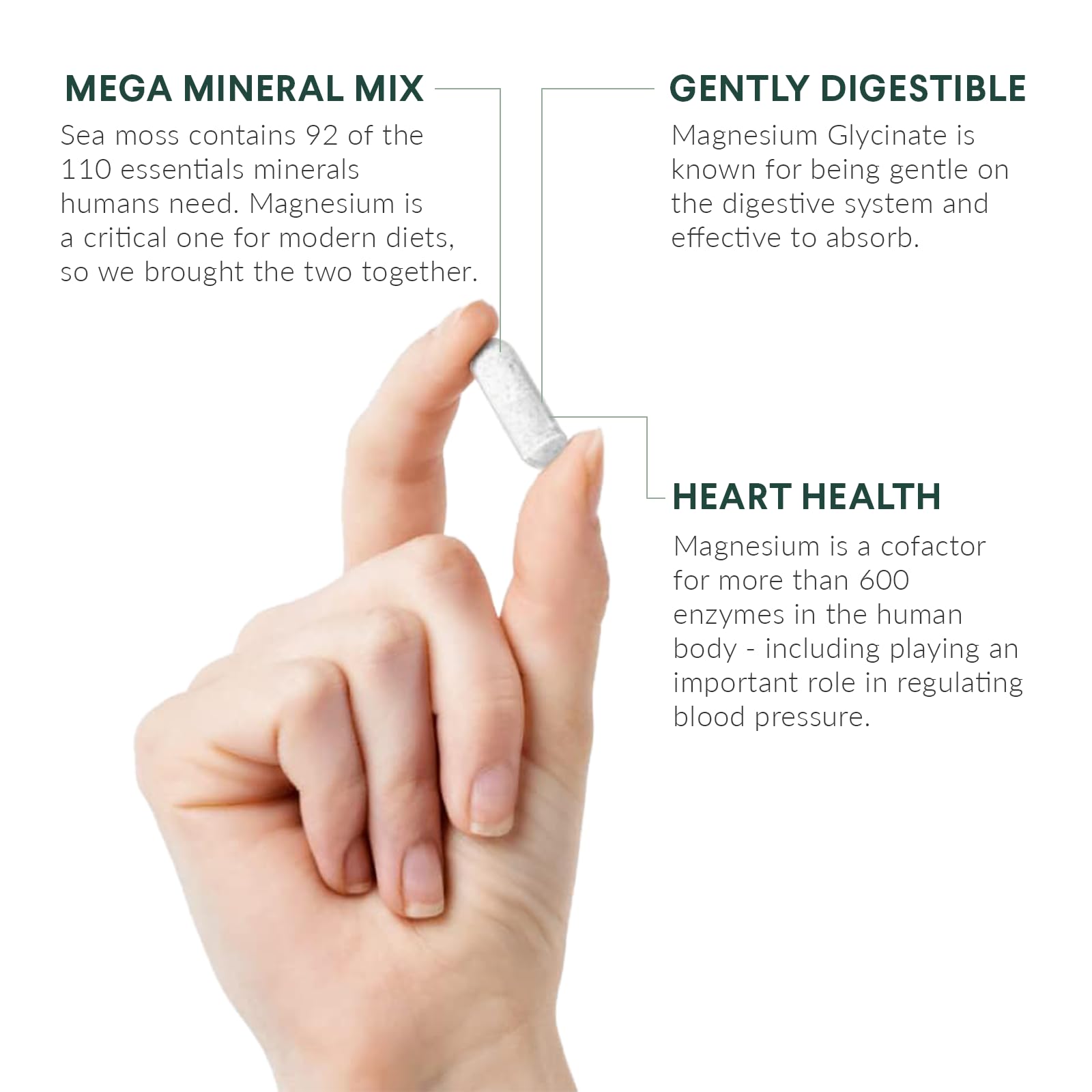 Nutritional Roots - Magnesium + Irish Sea Moss - 350mg Magnesium Glycinate & Organic Irish Sea Moss - Essential Minerals - Supports Heart & Bone Health - Dietary Supplement - 30 Servings - 60 Capsules Nutritional Roots uk supplements