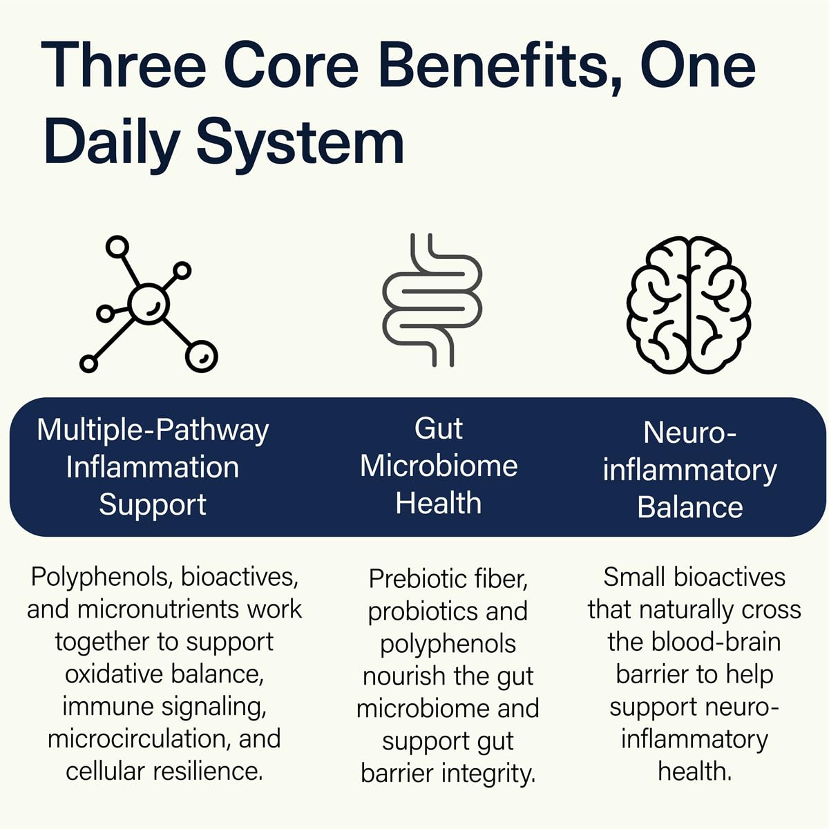 ACEND Advanced Inflammatory Support Powdered Drink Mix | Evidence-Based Polyphenols + Prebiotic Fiber + Probiotics | D3+K2, Minerals & Electrolytes | Non-GMO ACEND uk supplements