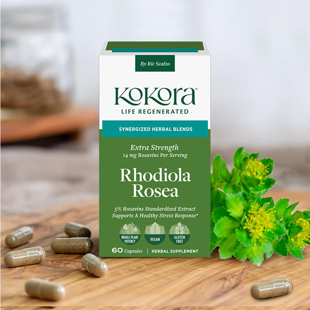 kokora Extra Strength Rhodiola Rosea – Stress Relief, Endurance & Promotes Mental & Physical Performance* - with Siberian Rhodiola, Rosavins, Organic Holy Basil - Vegan, Non-GMO - 60 Capsules kokora uk supplements