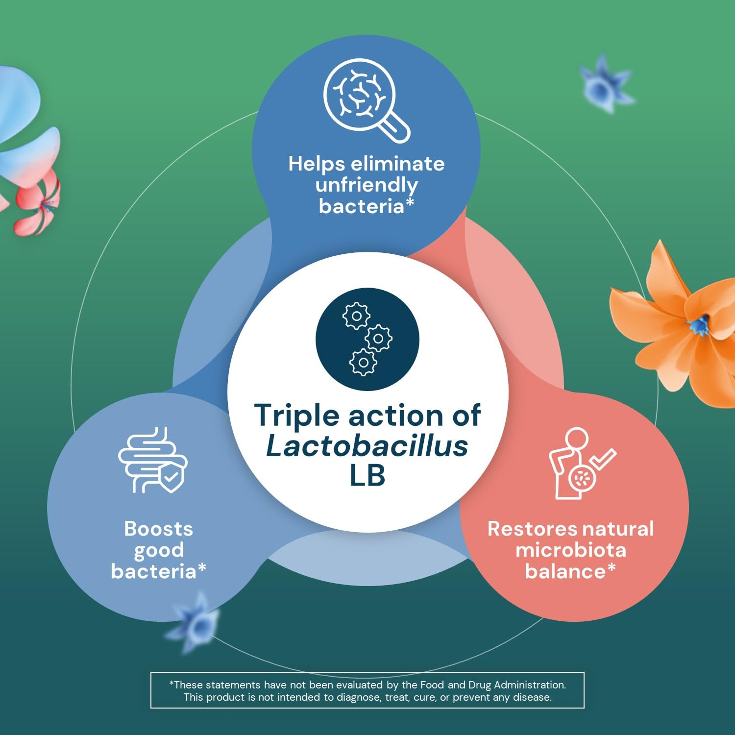 Lactéol diarrhEase Kids - a Safe, Drug Free and clinically Tested postbiotic Strain That Shortens The Duration of Occasional Diarrhea- Works Naturally with Your Child’s Body, 10 Count Lactéol uk supplements