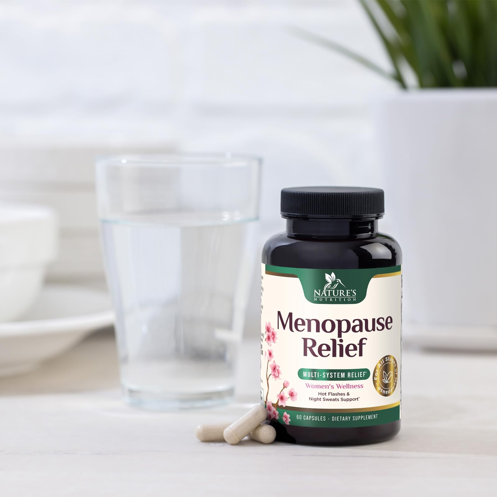 Menopause Supplement for Women - Natural Menopause Relief Support for Mild Hot Flashes & Night Sweats - Best Probiotics for Women, Dong Quai, Black Cohosh, Ashwagandha - Bottled in USA - 60 Capsules Nature's Nutrition uk supplements