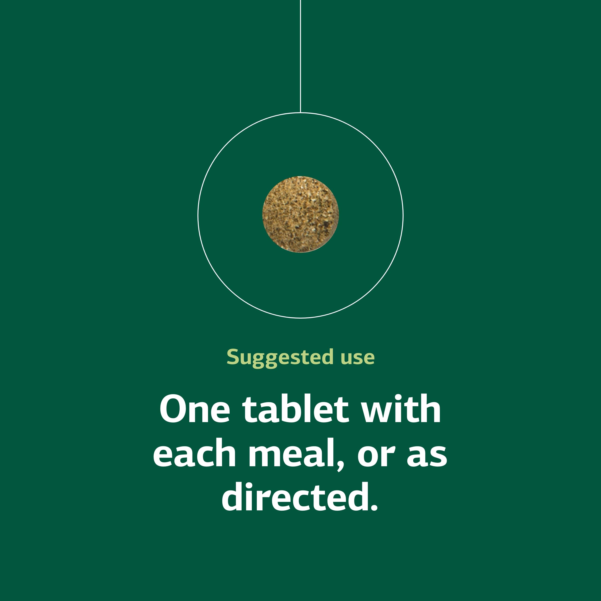 Standard Process Renafood - Supports Healthy Kidney Function & Antioxidant Activity - Contains Vitamins A - Non-Soy - 180 Tablets Standard Process Inc. uk supplements