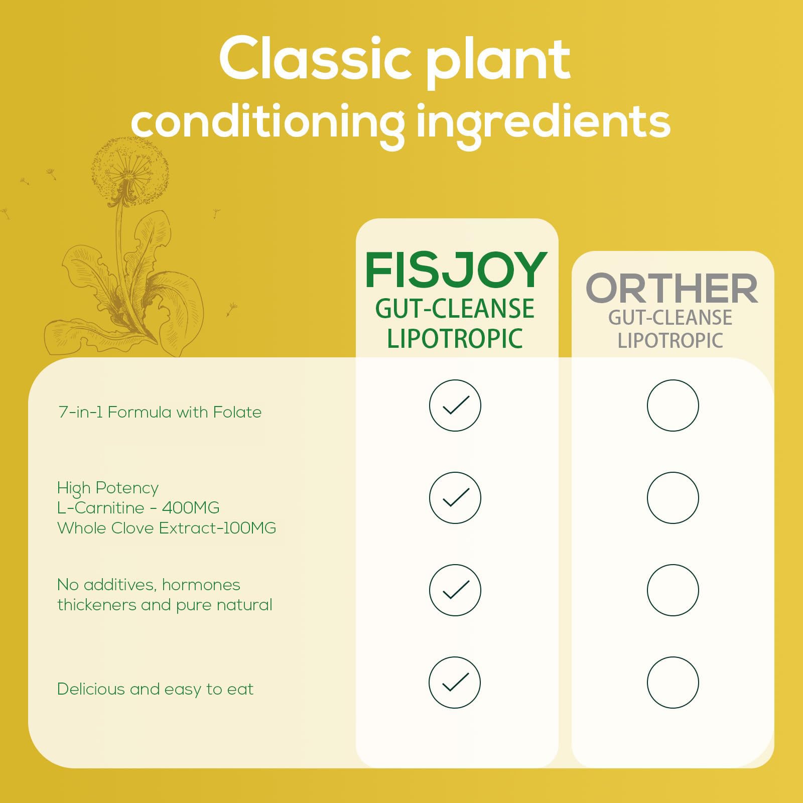 Fisjoy L-Carnitine & Herbal Liquid Drops – Gentle Daily Digestive Support with Pumpkin Seed, Clove & PAU D’Arco Extracts, Folate & Chromium, Vegan, Sugar-Free, 2 fl oz (60 mL) Fisjoy uk supplements
