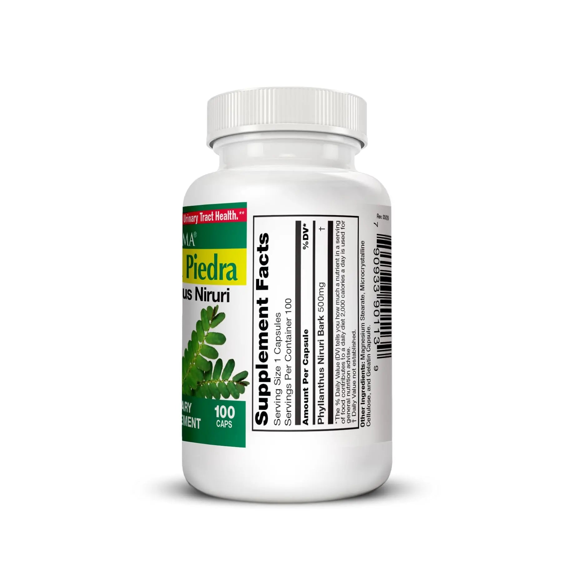 Germa Chanca Piedra Supplement – 500mg Phyllanthus Niruri – Traditional Stone Breaker Herb for Urinary & Kidney Support – Rainforest Botanical – 100% Natural Vegan Capsules, 100 Count Germa uk supplements