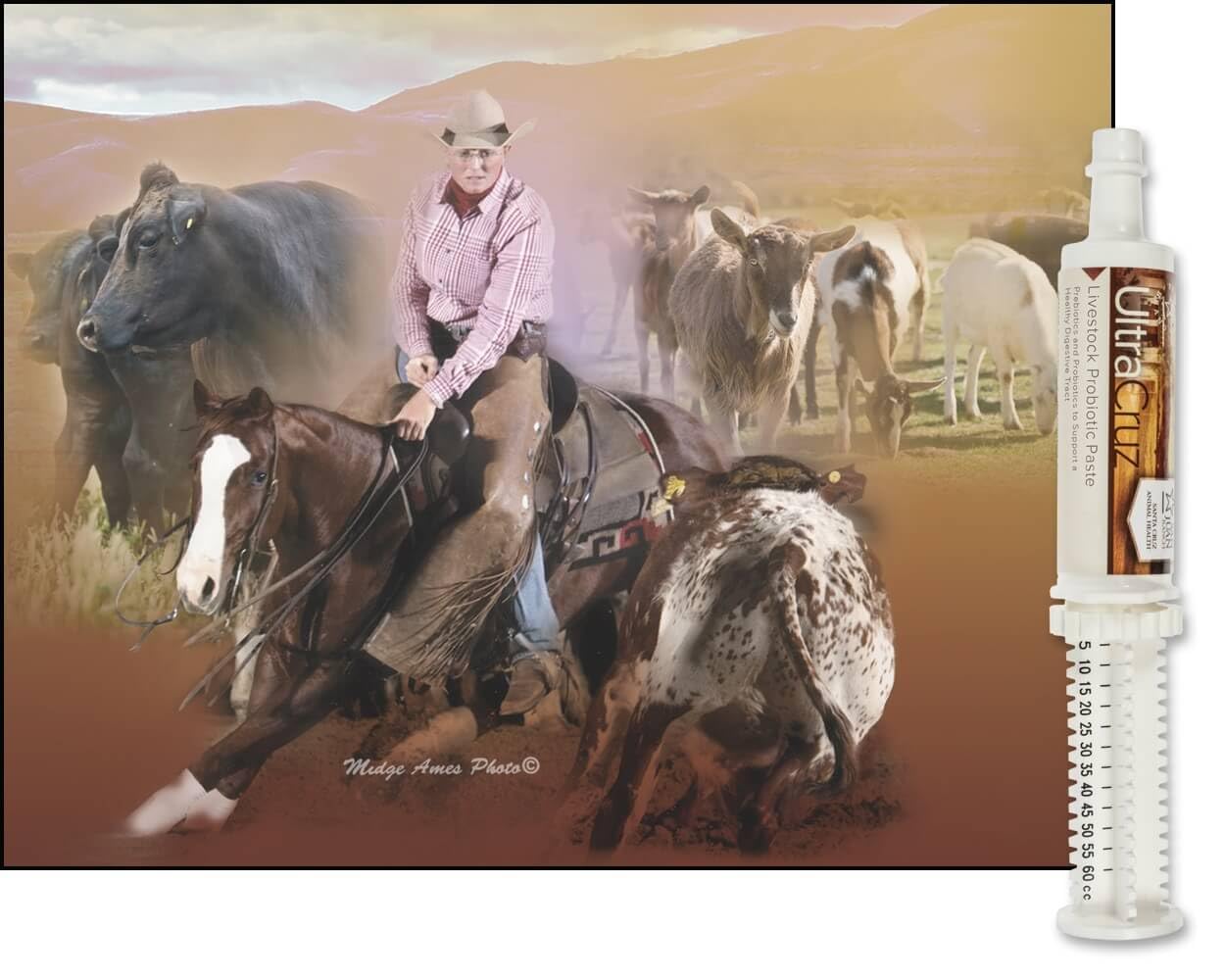 60 ml, Paste, 4 Day Supply UltraCruz uk supplements