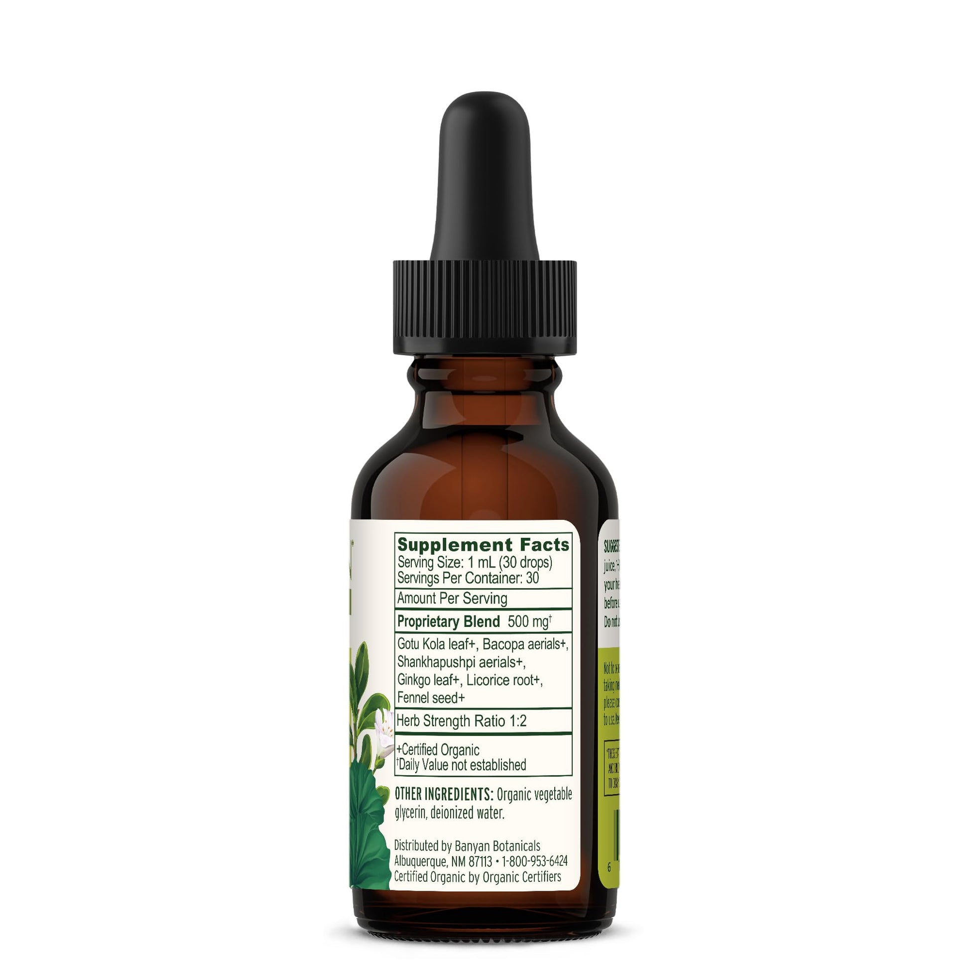 Banyan Botanicals Focus Liquid Extract – Organic Focus Supplement – Liquid Extract in Non-Alcoholic Glycerin – Nootropic Herbs for Fast-Acting Support* – 1 oz. – Non-GMO Sustainably Sourced Vegan Banyan Botanicals uk supplements