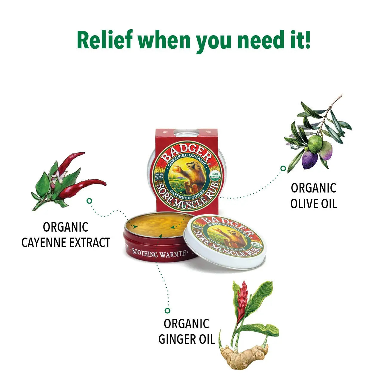 Badger Sore Muscle Rub Tin, Cayenne & Ginger, 2 oz (1 Pack) Badger uk supplements