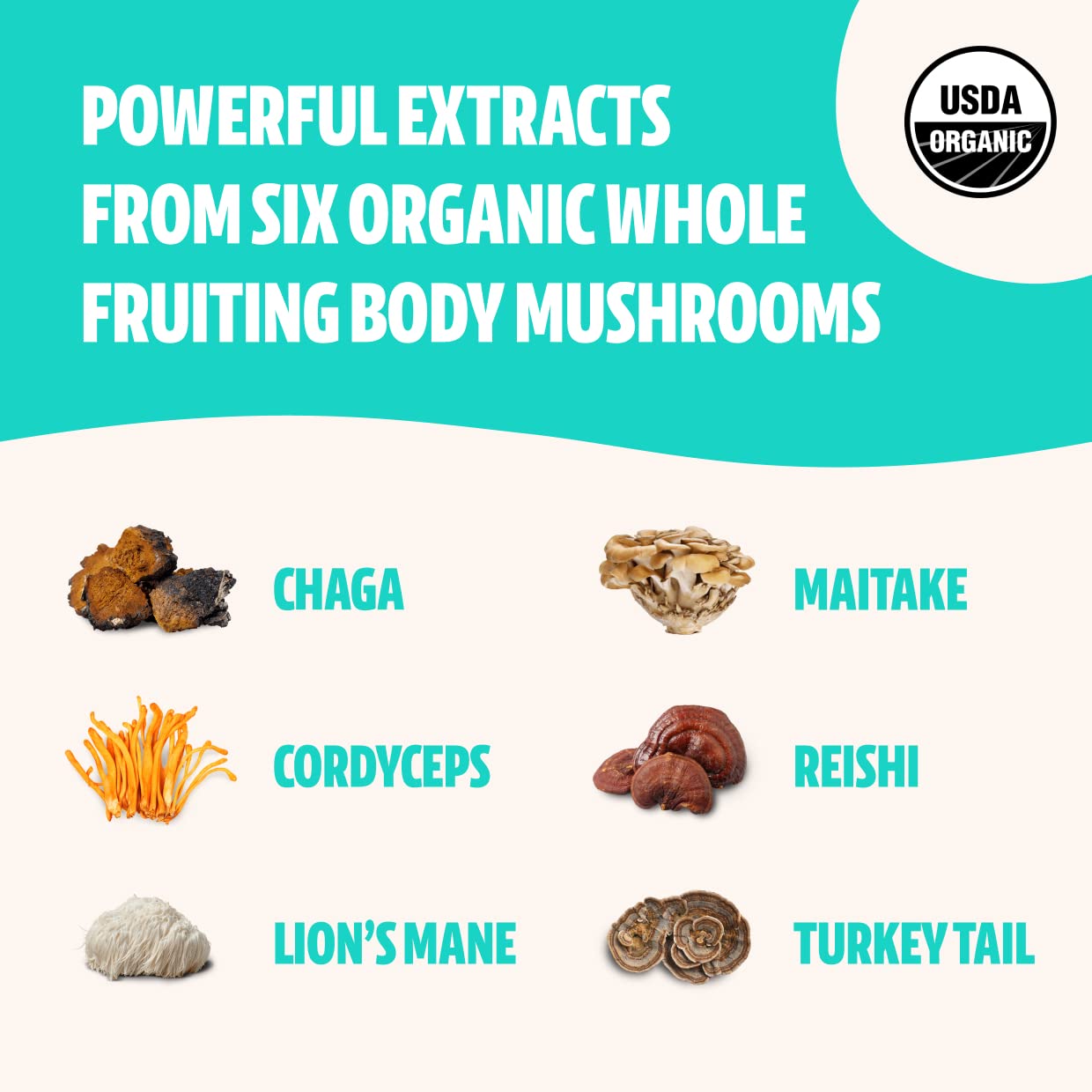 FreshCap Ultimate Mushroom Complex Powder - Lions Mane, Reishi, Cordyceps, Chaga FreshCap Mushrooms uk supplements