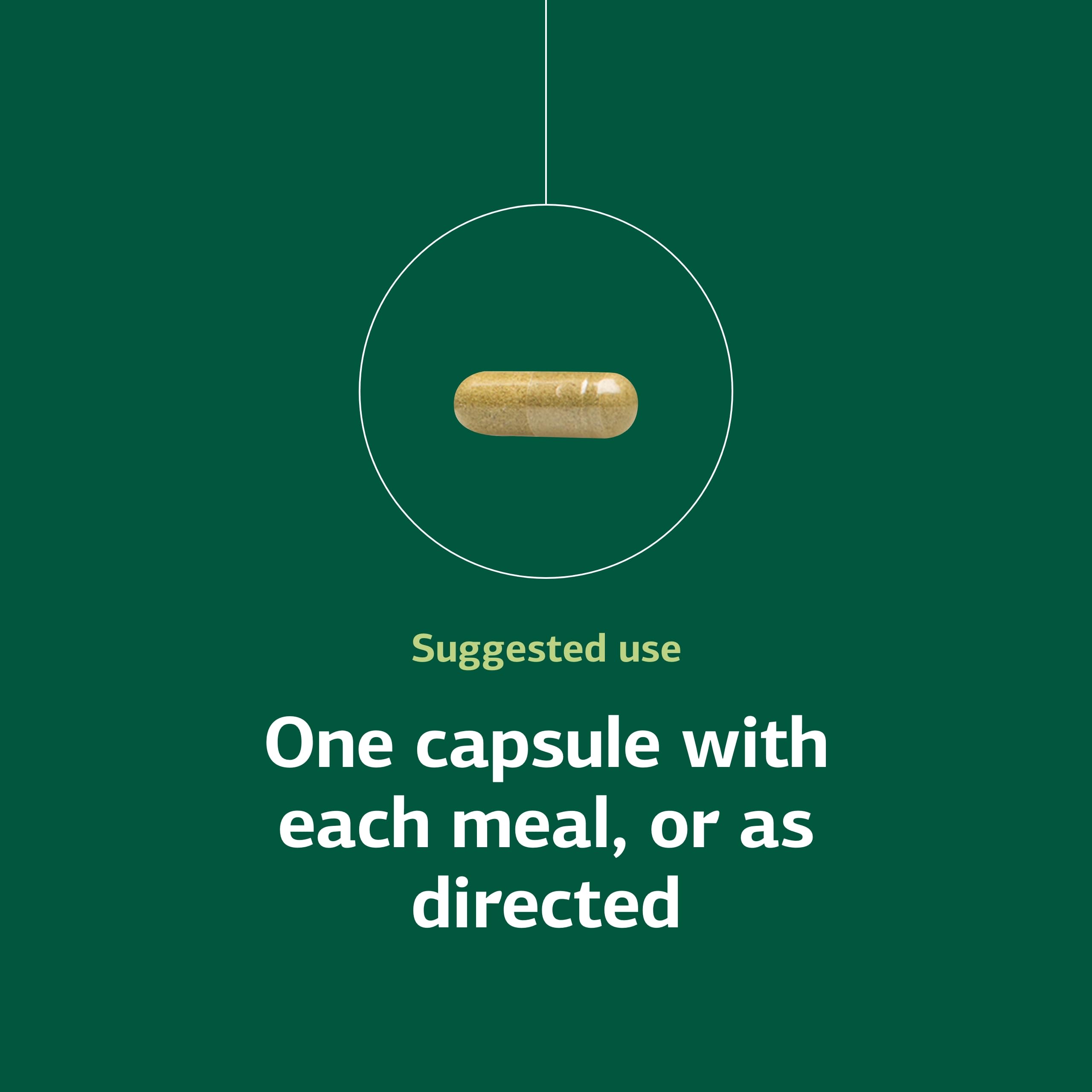 Standard Process Ostarplex - Dietary Supplement for Connective Tissue Health - Aids Liver Health & Function - Contains Vitamin B6 - Non-Dairy - 90 Capsules (90 Servings) Standard Process Inc. uk supplements