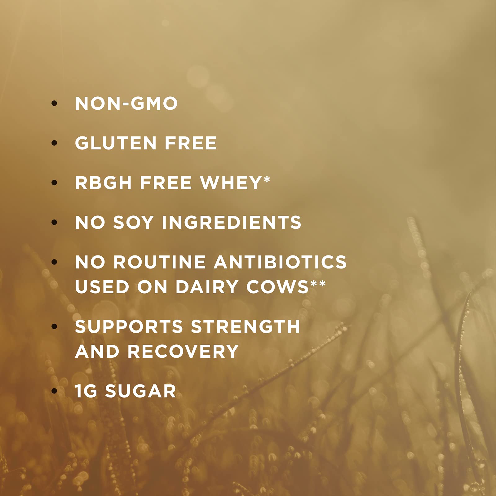 Solgar Whey To Go Natural Vanilla Flavour Protein Powder 340 g - Grass-Fed Whey from New Zealand Cows SOLGAR uk supplements