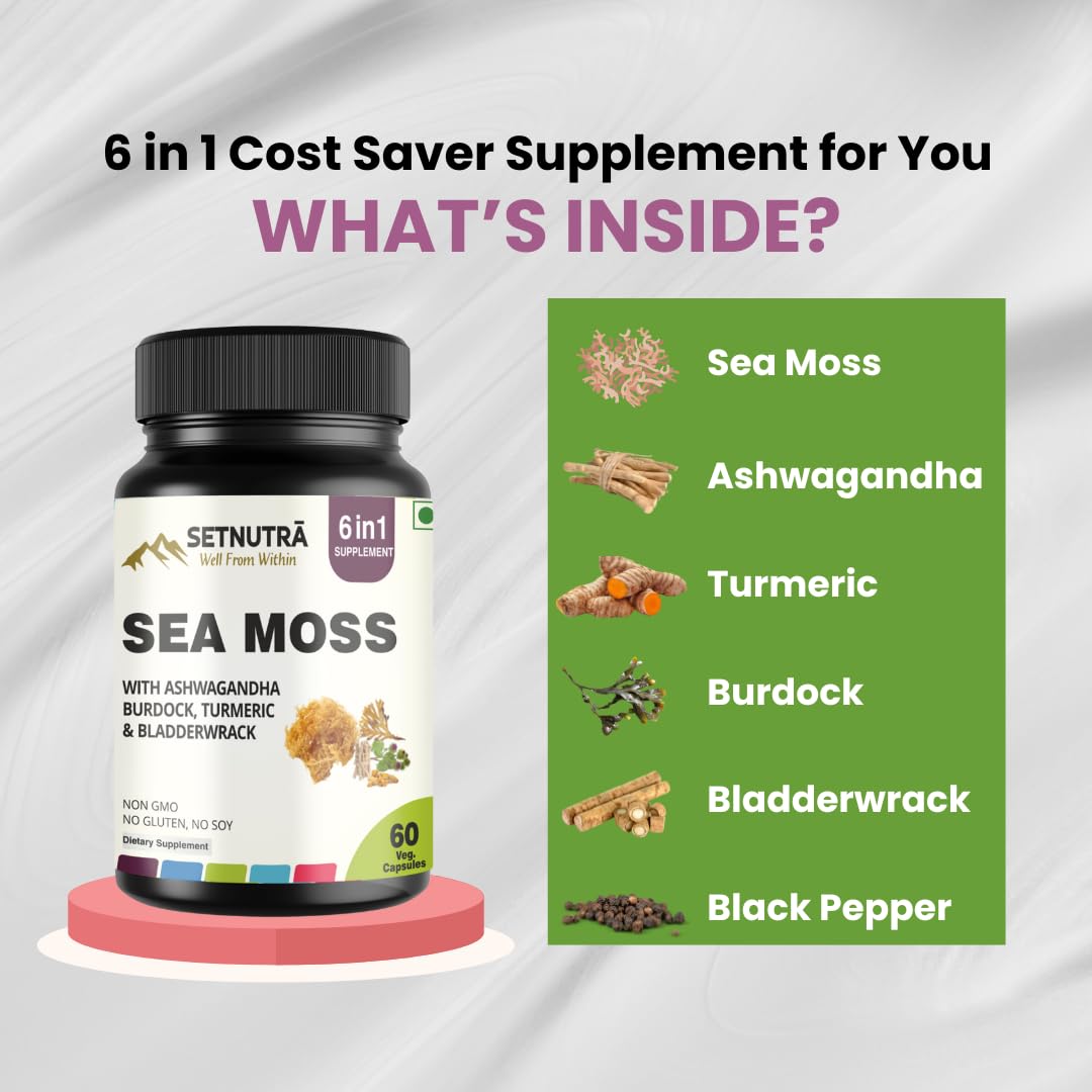 SETNUTRA Well From Within Sea Moss 6 in 1 Super Blend Ashwagandha Burdock Turmeric & Bladderwrack Immunity & Detox Support 60 Veg Capsules Non GMO No Gluten SETNUTRA Well From Within uk supplements