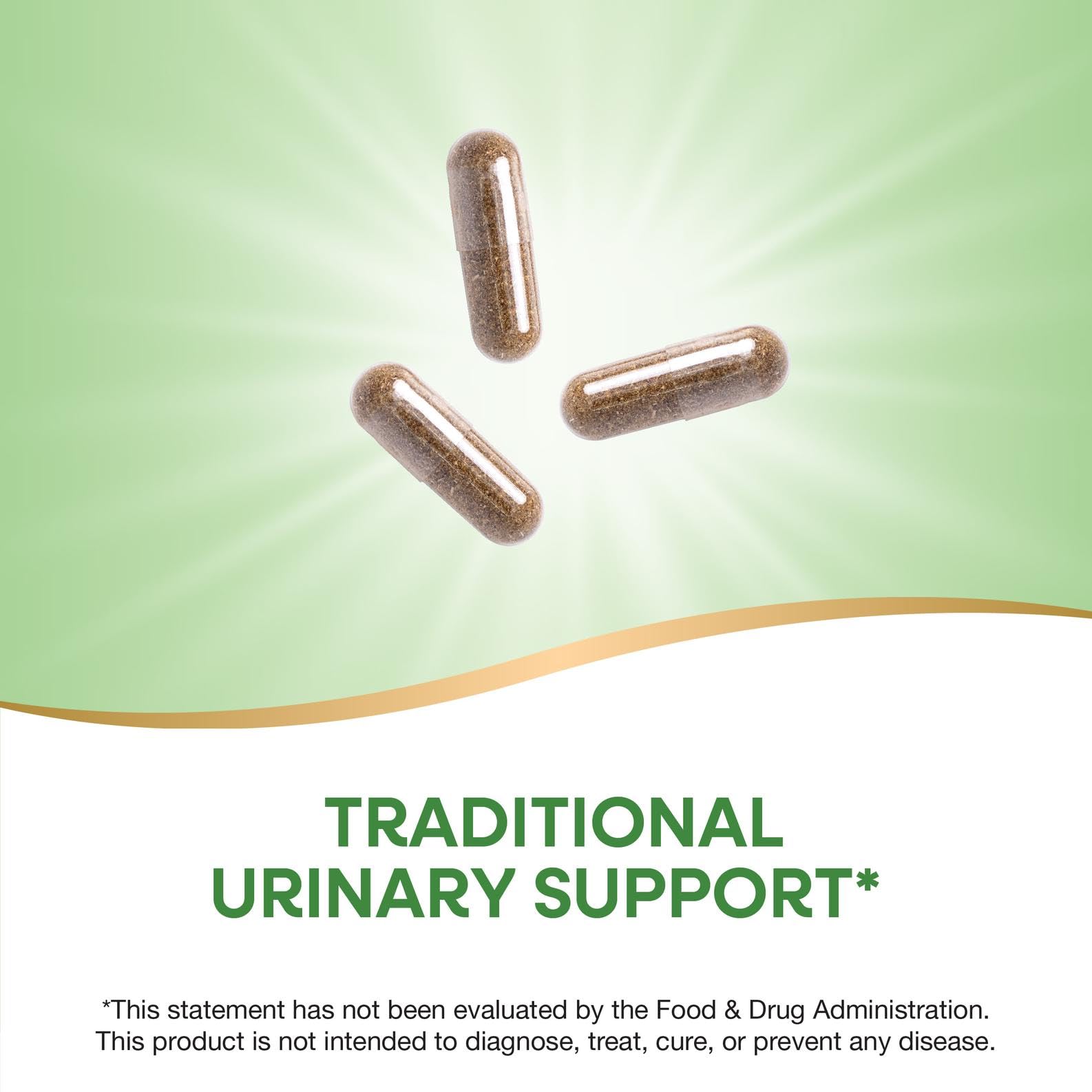Nature's Way Uva Ursi Leaves, Traditional Urinary Support*, 1,110 mg per 3-Capsule Serving, Non-GMO Project Verified, Herbal Dietary Supplement, Gluten Free, 100 Vegan Capsules (Packaging May Vary) Nature's Way uk supplements