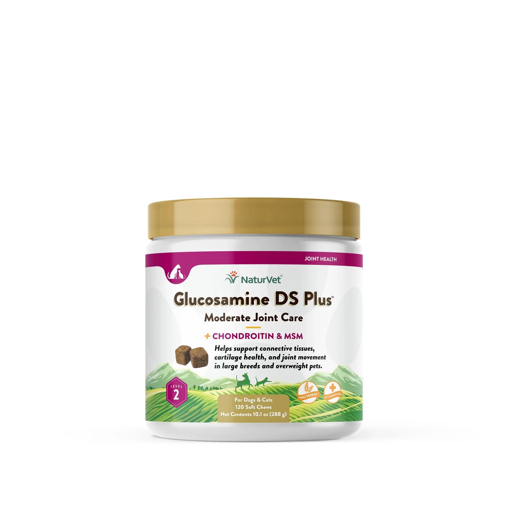 NaturVet – Glucosamine DS Plus - Level 2 Moderate Care – Supports Healthy Hip & Joint Function – Enhanced with Glucosamine, MSM & Chondroitin – for Dogs & Cats–120 Soft Chews NaturVet uk supplements