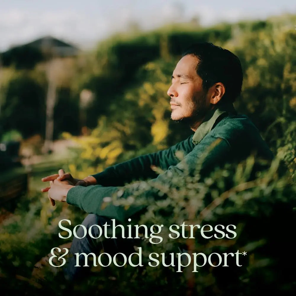 New Chapter Perfect Calm - Daily Multivitamin for Stress & Mood Support with B Vitamins + Holy Basil + Lemon Balm New Chapter uk supplements