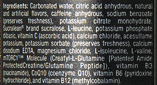 Bang Energy Power Punch, Sugar-Free Energy Drink, 16-Ounce (Pack of 12) BANG uk supplements
