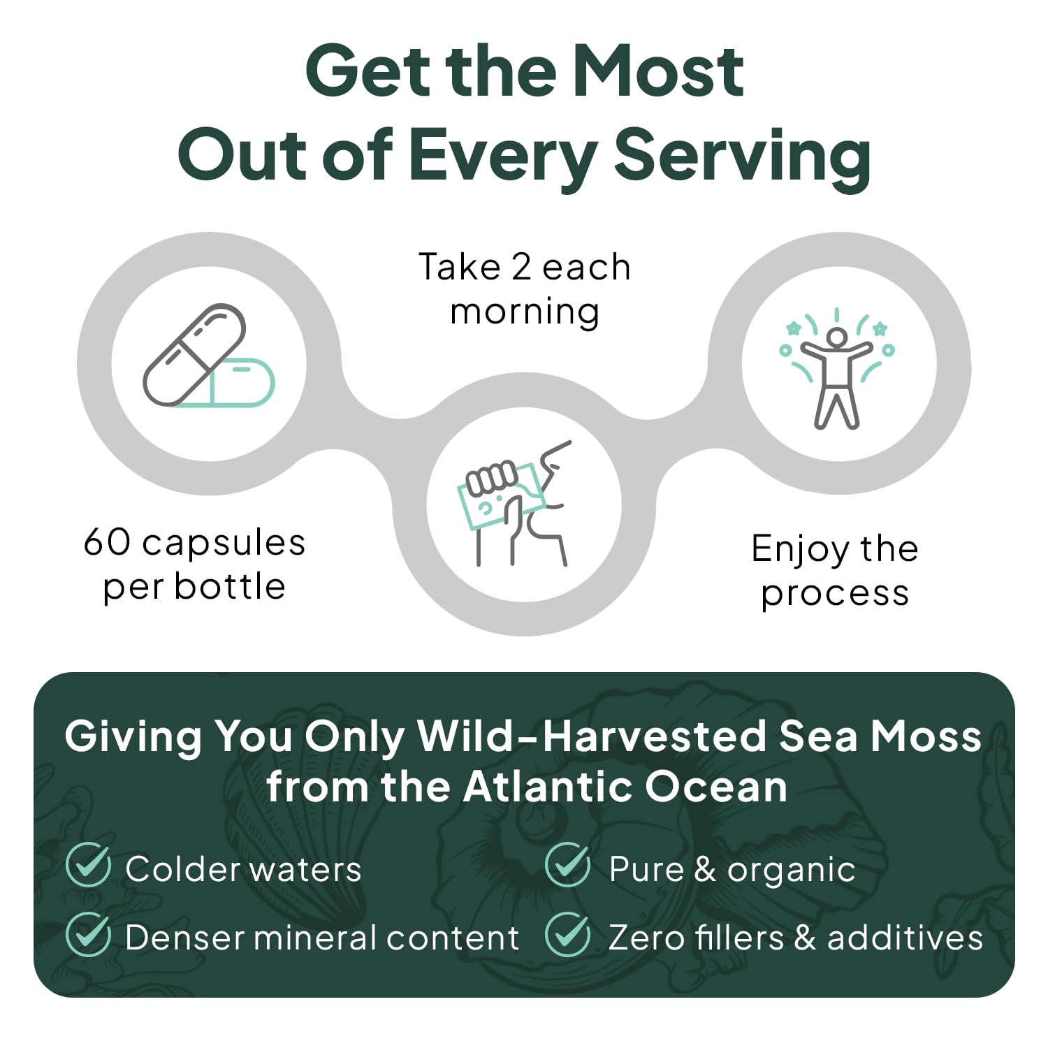 Organics Ocean Wild Sea Moss Capsules - 100% Organic Irish Sea Moss with Organic Chlorella, Bladderwrack and Vitamin D for Energy, Lung Health and Thyroid Support for Women and Men - 60 Capsules Organics Ocean uk supplements