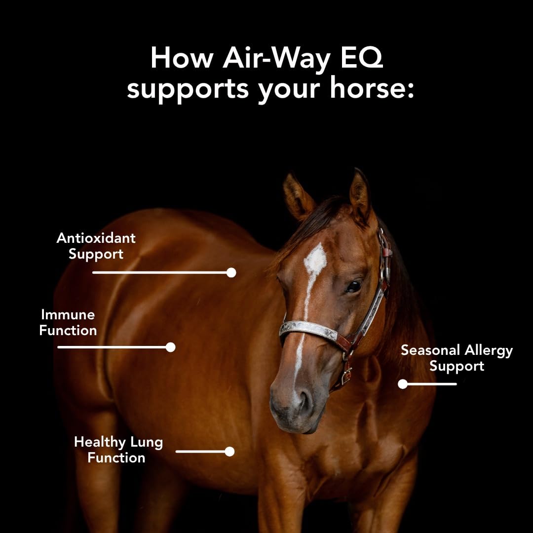 MVP Air-Way EQ Supports Healthy Lung Function and Seasonal Allergy Support in Horses, 5lb - 40 Servings MVP uk supplements