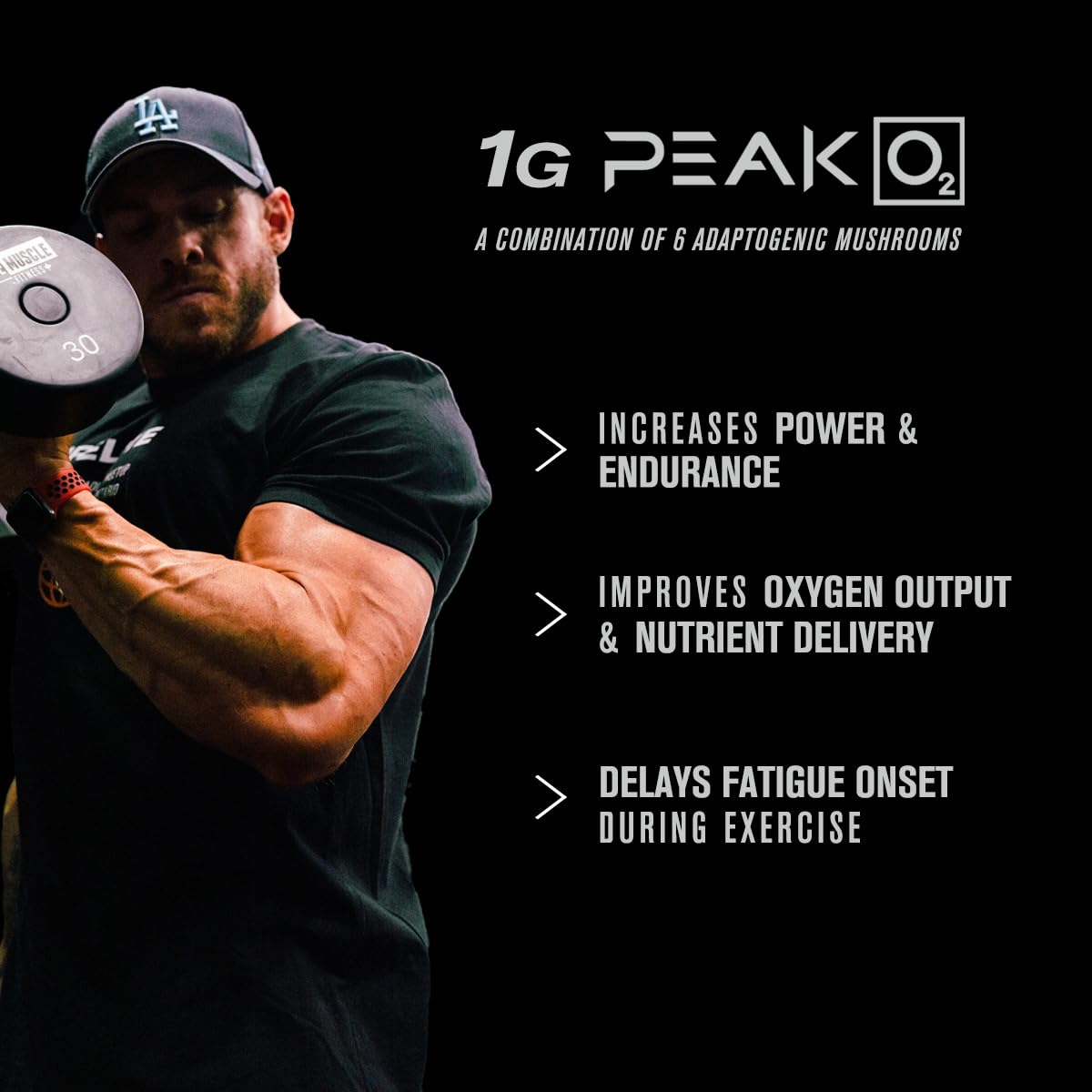 Jacked Factory Muscle Builder Supplement Stack - Build-XT Muscle Builder & N.O. XT Nitric Jacked Factory uk supplements