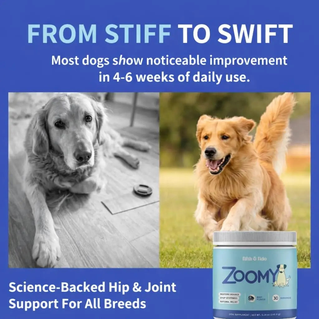 Fifth & Fido Joint Supplement for Dogs - Glucosamine for Dogs - Pet Vitamins and Supplements Powder with Chondroitin & MSM - Hip & Joint Support for Mobility, Stiffness & Flexibility - Mushroom Blend Fifth & Fido uk supplements
