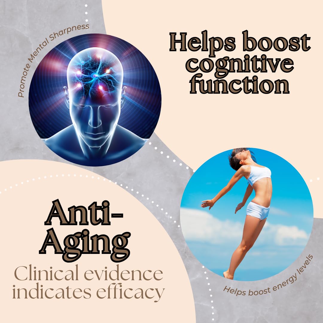 Research Labs Liposomal NMNH (NMN Supplement Alternative) 500mg Per Serving | 60 Capsules (Dihydronicotinamide Mononucleotide) NAD Supplement to Boost NAD+ Levels for Anti Aging Research Labs uk supplements