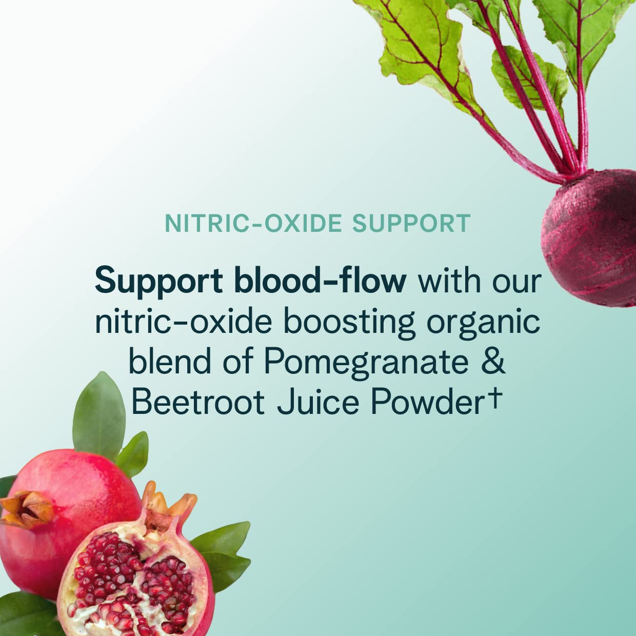 Ora Organic Natural Pre Workout Powder - Raspberry Lemonade Flavor- Provides Jitter Free Energy, Focus, Hydration, & Endurance - Vegan, Certified Organic, Soy, Dairy, & Gluten Free, 20 Servings Ora Organic uk supplements