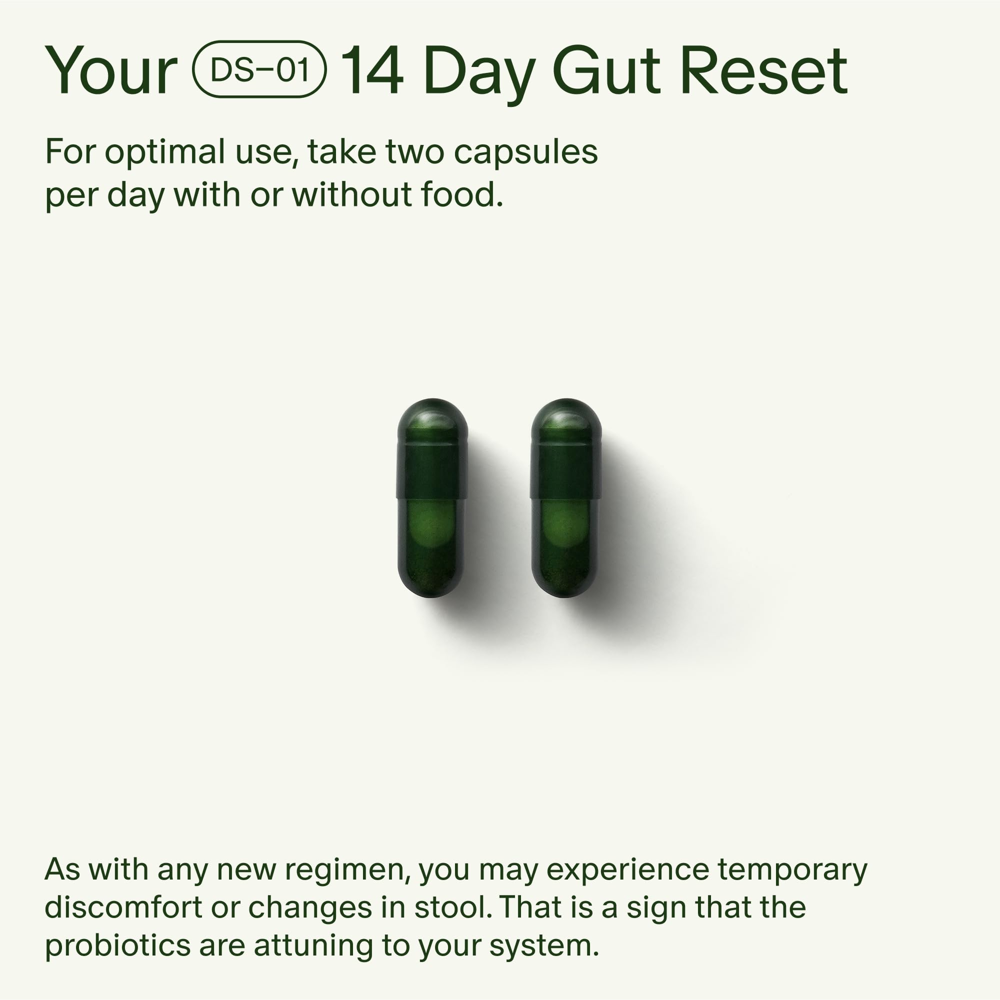 Seed 14 Day Gut Reset - Prebiotic and Probiotic for Women & Men - Digestive Health, Gut Health, Rapid Gut Recovery, Bloating & Constipation Relief - Vegan & Shelf-Stable - 28 Capsules (14-Day Supply) Visit the Seed Store uk supplements