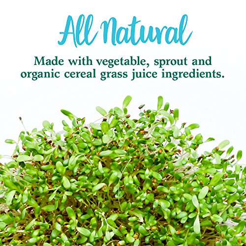 Garden of Life Perfect Food Super Green Formula - 14 Servings | 45 Superfoods, Greens Garden of Life uk supplements