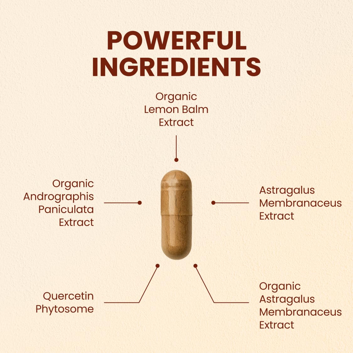 CHOQ Armor - Vegan Capsules - Professional-Grade Immune Defense - 20x Absorption Quercetin Phytosome - Andrographis - Astragalus - Supports Healthy Histamine Levels CHOQ uk supplements