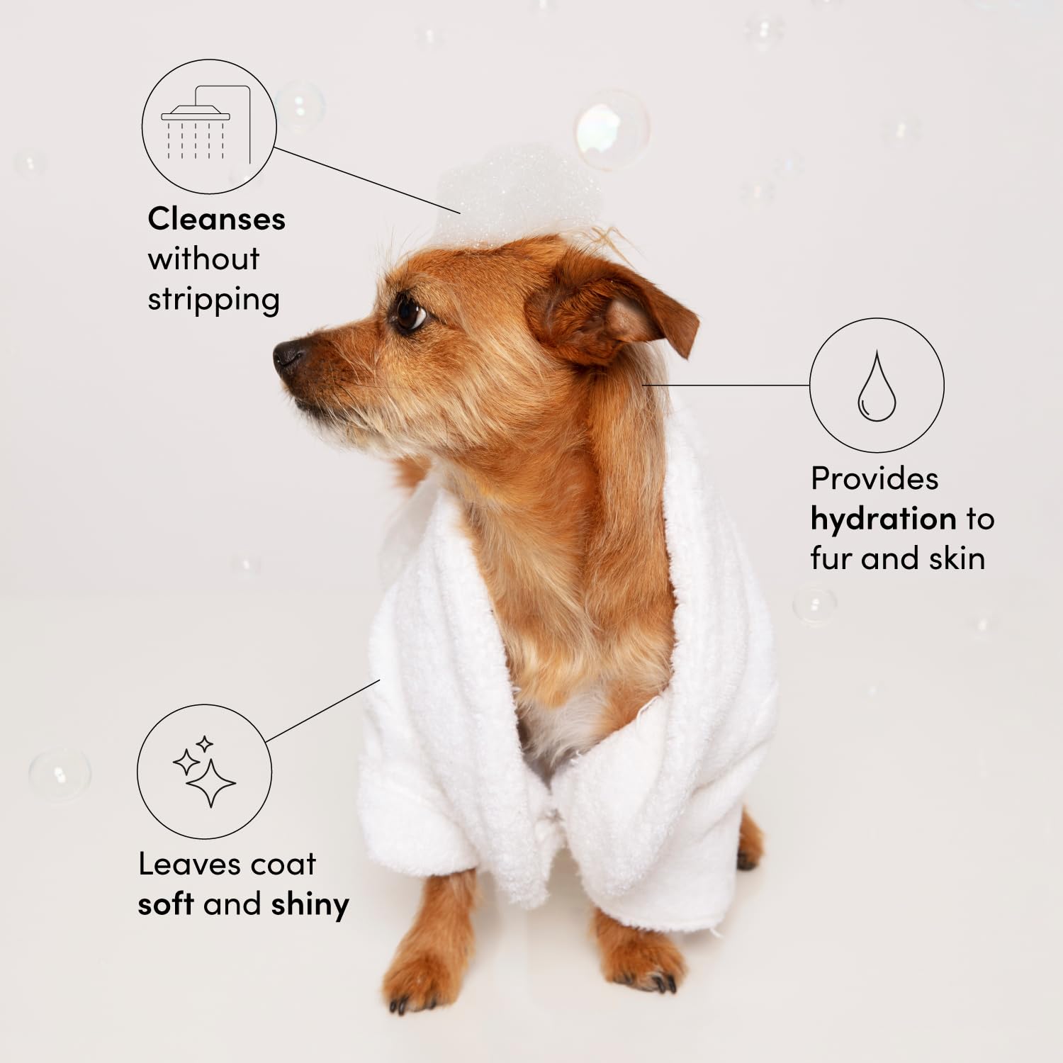 OUAI Fur Bébé Pet Shampoo, Mercer Street Scent - Dog Shampoo and Coat Wash for Hydrating, Cleansing and Adding Shine - Pet Supplies by OUAI (16 Fl Oz) OUAI uk supplements