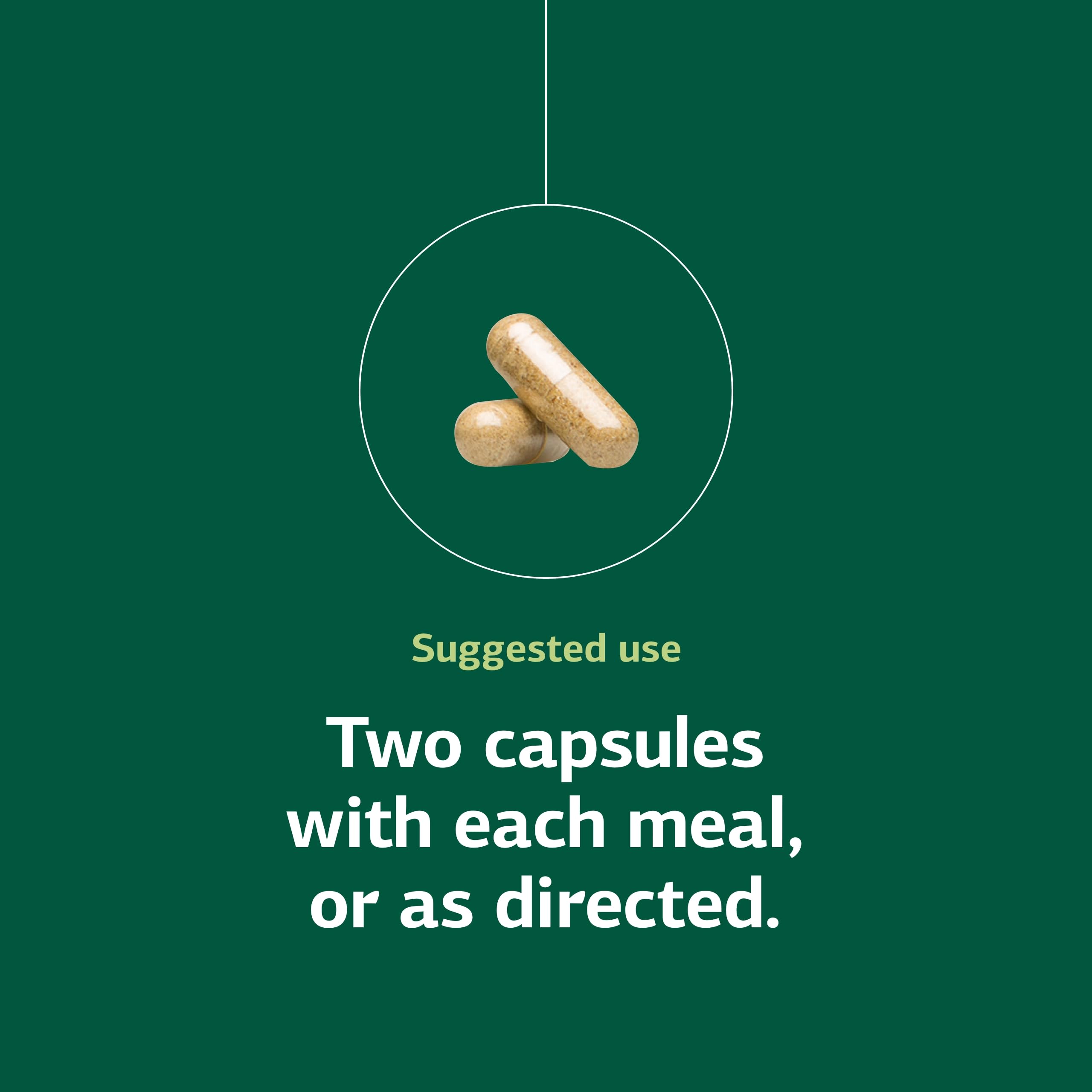 Standard Process Senaplex - Nervous System Support with Niacin, Vitamin B12 & B6 - Supports Brain Health & Cellular Health - Offers Antioxidant Activity - Non-Dairy - 90 Capsules (45 Servings) Standard Process Inc. uk supplements