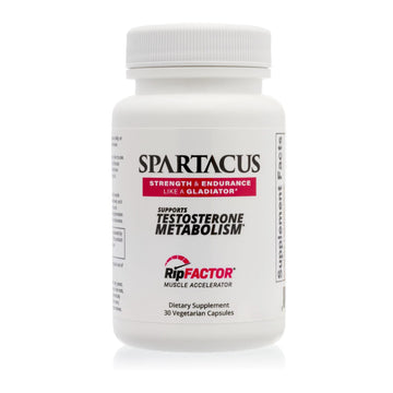 Elite Fuel Spartacus Promotes Strength, Endurance & Muscle Growth Elite Fuel uk supplements