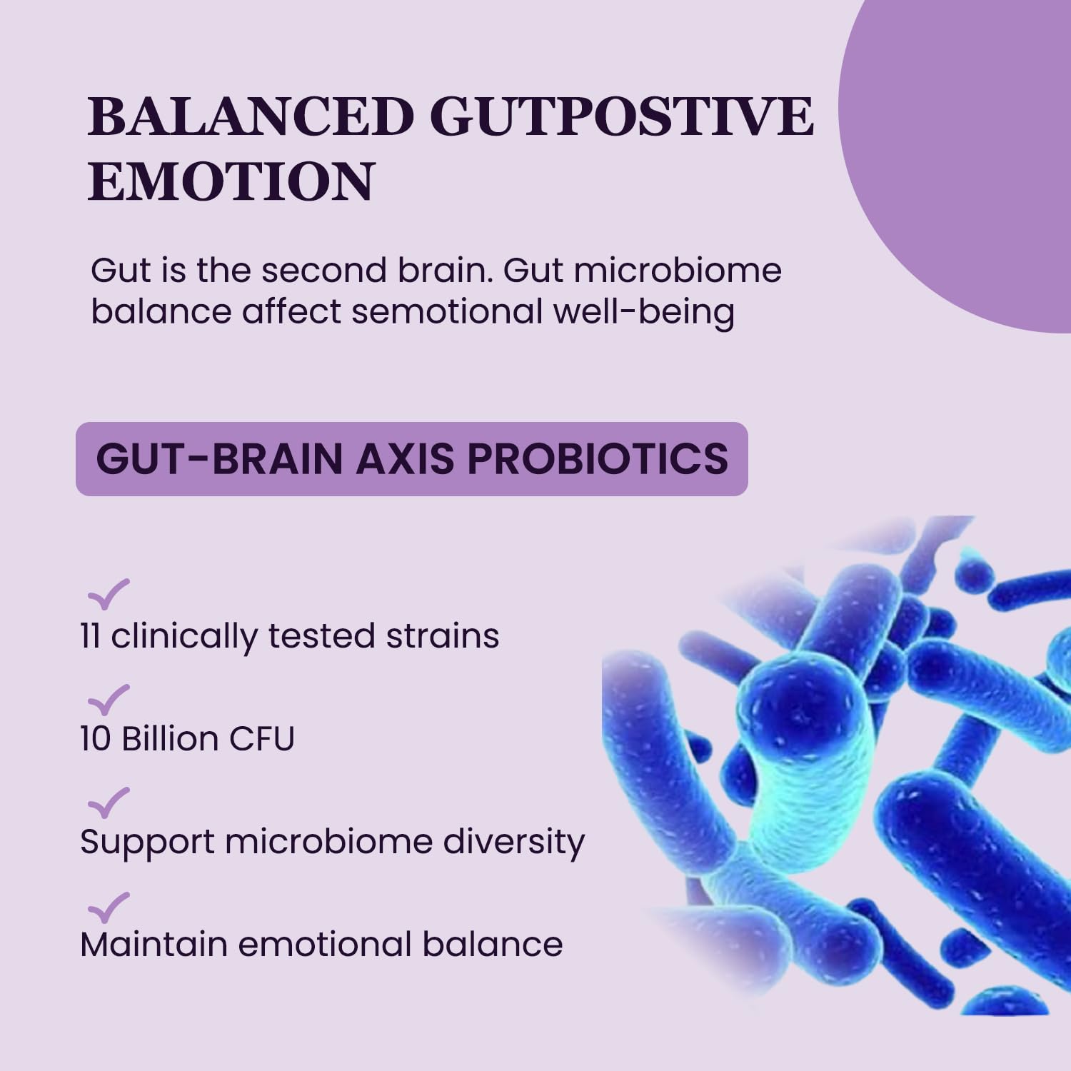 UpNourish Organic Ashwagandha Saffron Supplements with Probiotics - Stress Relief, Mood Enhancer, Calm Happy Pills Support Fatigue Focus Clarity with L-Theanine, Rhodiola, 30 Vegan Capsules UpNourish uk supplements