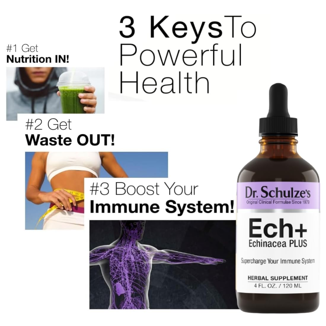 Dr. Schulze's Echinacea Plus | Echinacea Root and Seed | All Organic Extract | Gluten-Free Dr. Schulze's uk supplements