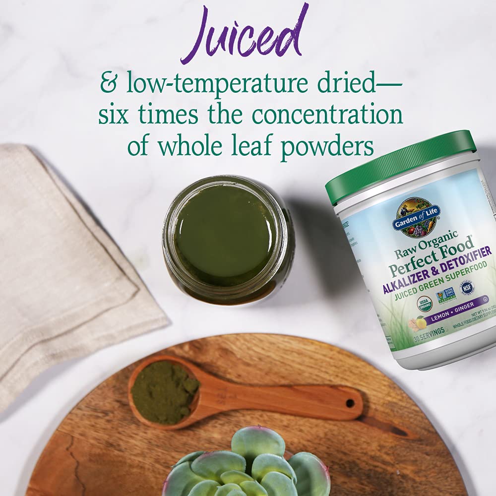 Garden of Life Raw Organic Perfect Food Alkalizer & Detoxifier Juiced Greens Superfood Garden of Life uk supplements