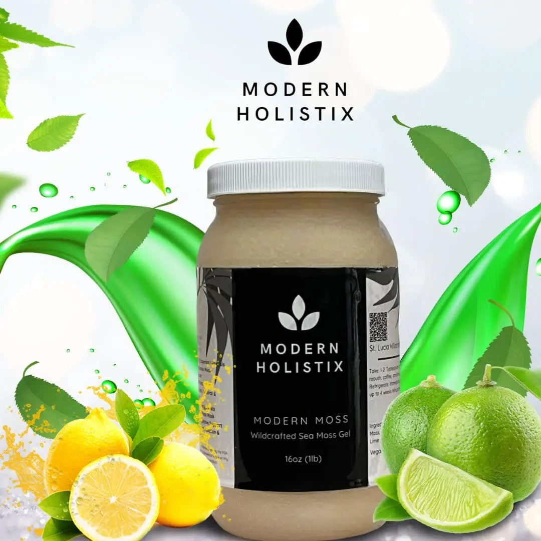 Modern Holistix Original Sea Moss Gel – 32oz Jar | Wildcrafted | All-Natural Superfood for Immunity, Energy & Gut Health Modern Holistix uk supplements