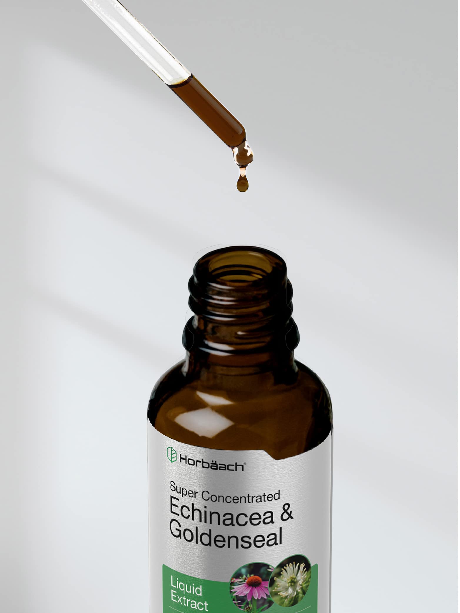 Echinacea Goldenseal Liquid Extract | 2 fl oz | Alcohol Free Tincture Drops | Vegetarian Horbäach uk supplements