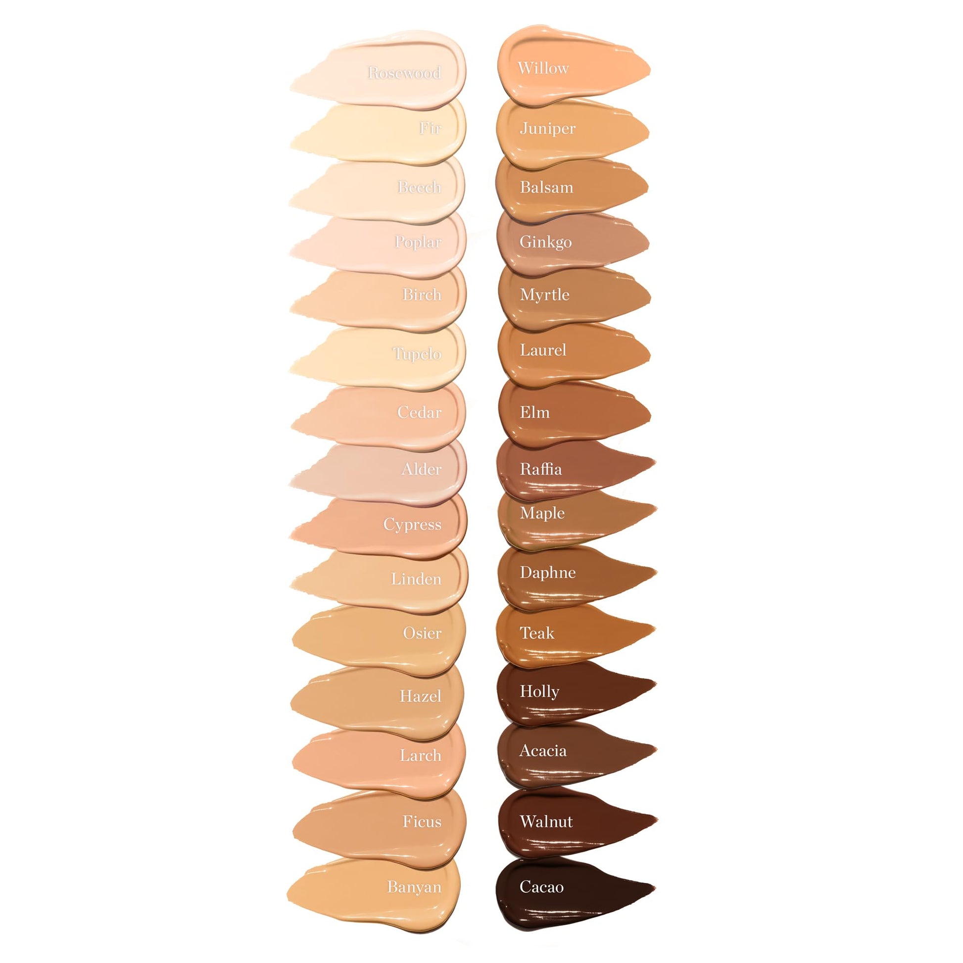 Ogee Complexion Perfecting Under Eye Concealer - Certified Organic Full Coverage Concealer - Buildable Coverage - OSIER 1.75W - Light Medium (Olive Undertones) Ogee uk supplements