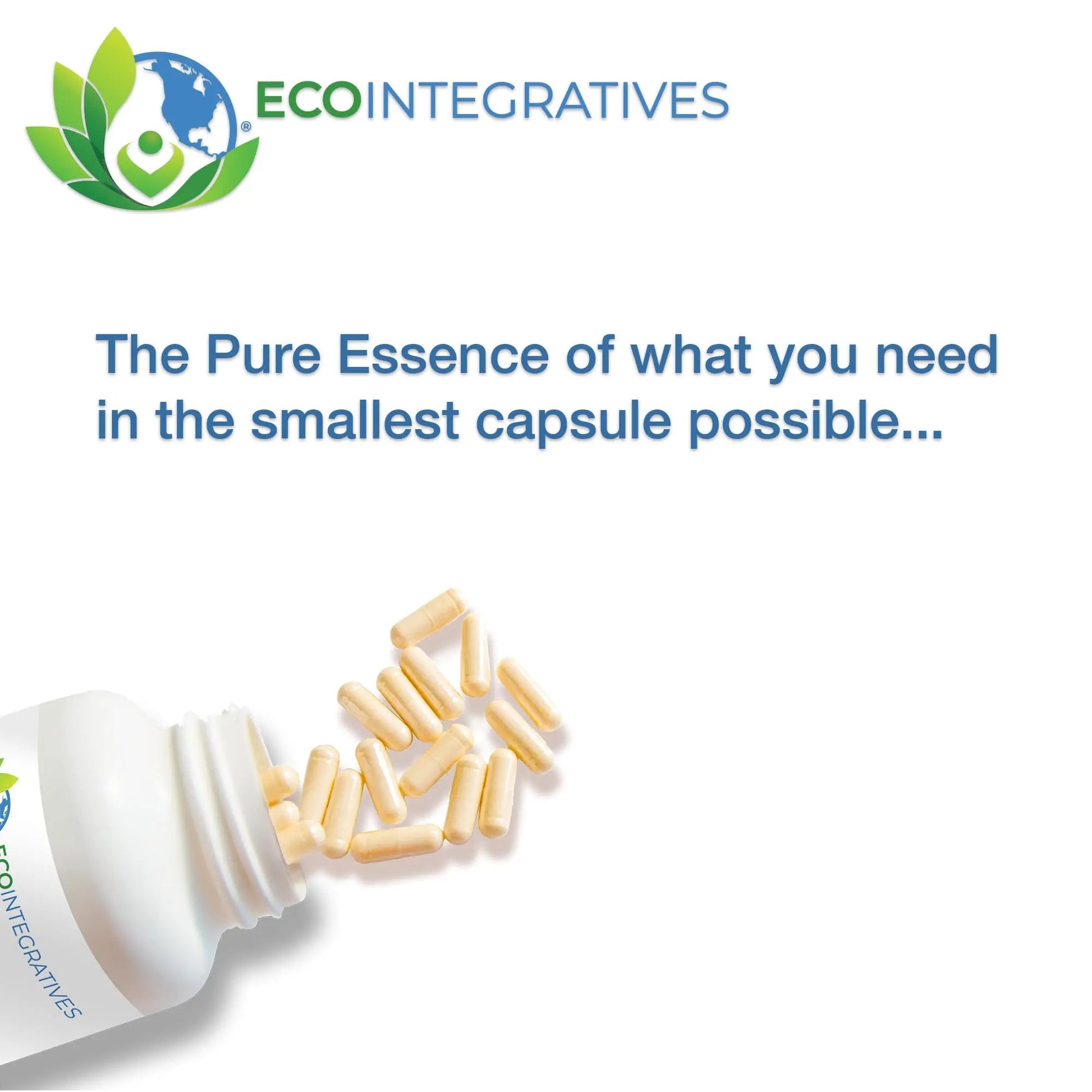 EcoIntegratives Active Multivitamin | ADK, Methyl B Complex, Antioxidants | Quatrefolic Folate, Methyl B12, P5P, Vitamin D3, K1/K2 | EcoIntegratives uk supplements