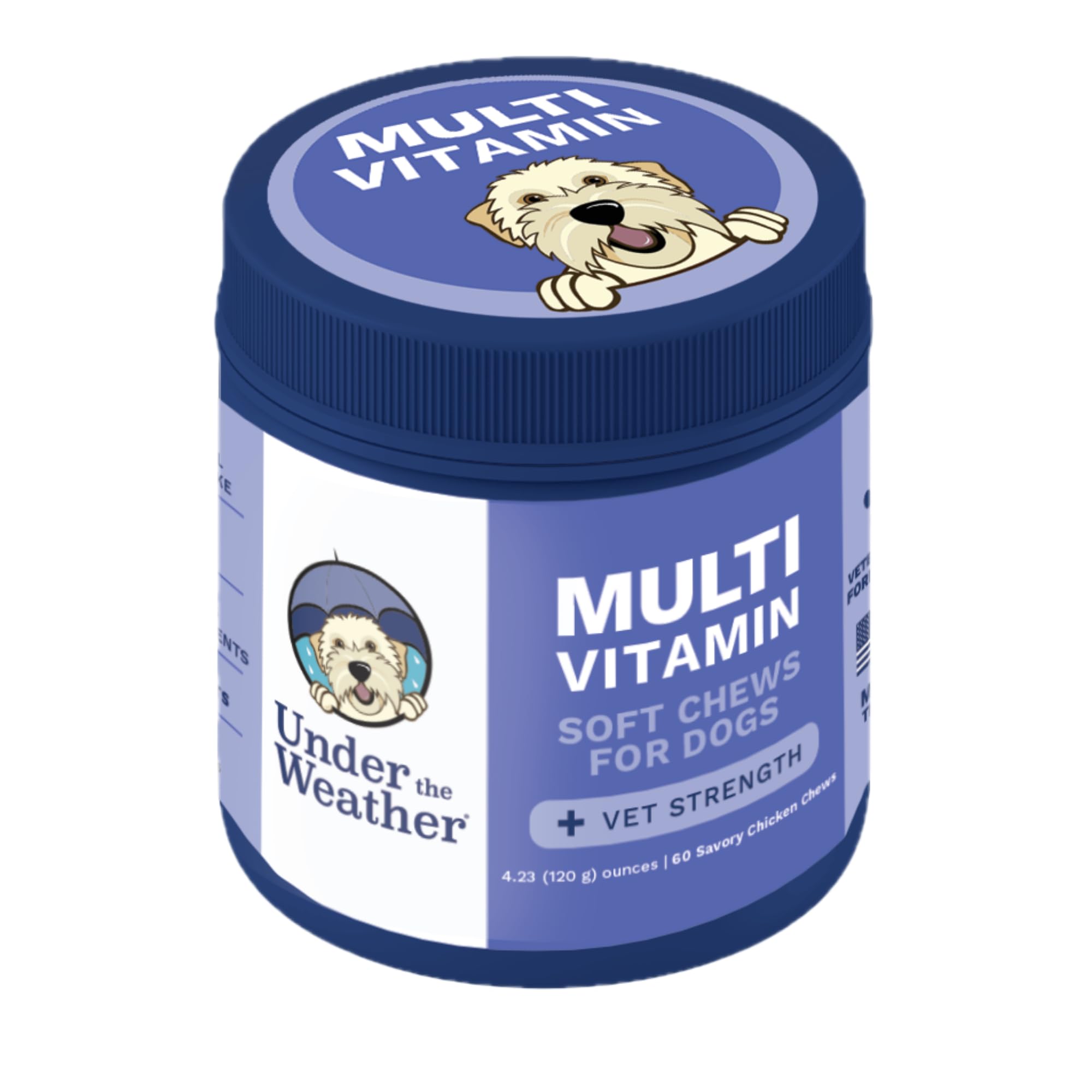 Under the Weather Multivitamin for Dogs | Vet Formulated Daily Canine Health Supplies for Immunity, Skin, Coat & Joint Support | All-in-One Multivitamin for Dogs of All Breeds & Sizes | 60 Count Under the Weather uk supplements