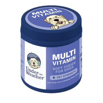 Under the Weather Multivitamin for Dogs | Vet Formulated Daily Canine Health Supplies for Immunity, Skin, Coat & Joint Support | All-in-One Multivitamin for Dogs of All Breeds & Sizes | 60 Count Under the Weather uk supplements