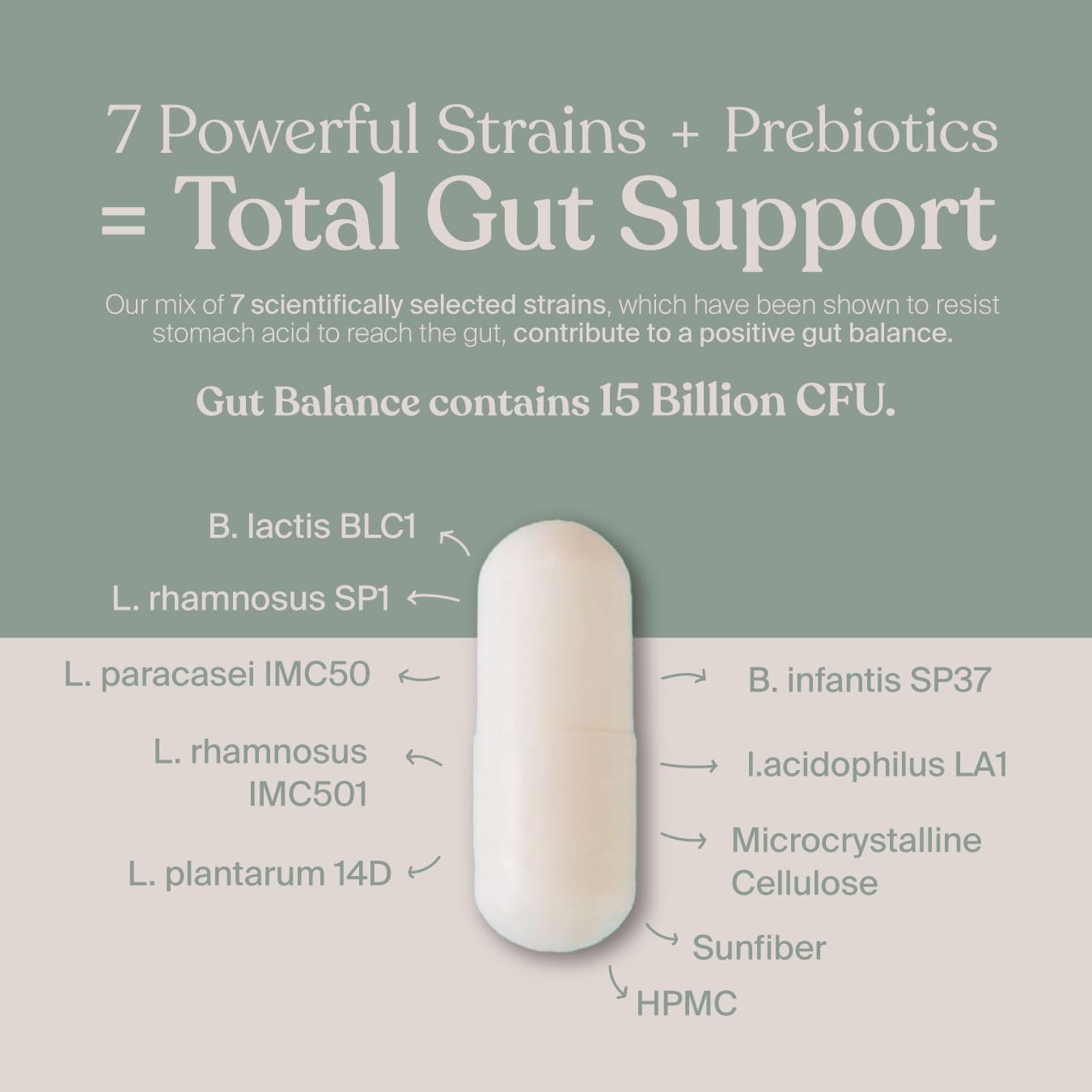 SAVVY Gut Balance Probiotics for Women & Men, 15 Billion CFU, 7 Clinically Studied Strains, Digestive Health, Immune Support, Bloating Relief, 60 Vegan Capsules, Non GMO, Sugar-Free SAVVY uk supplements