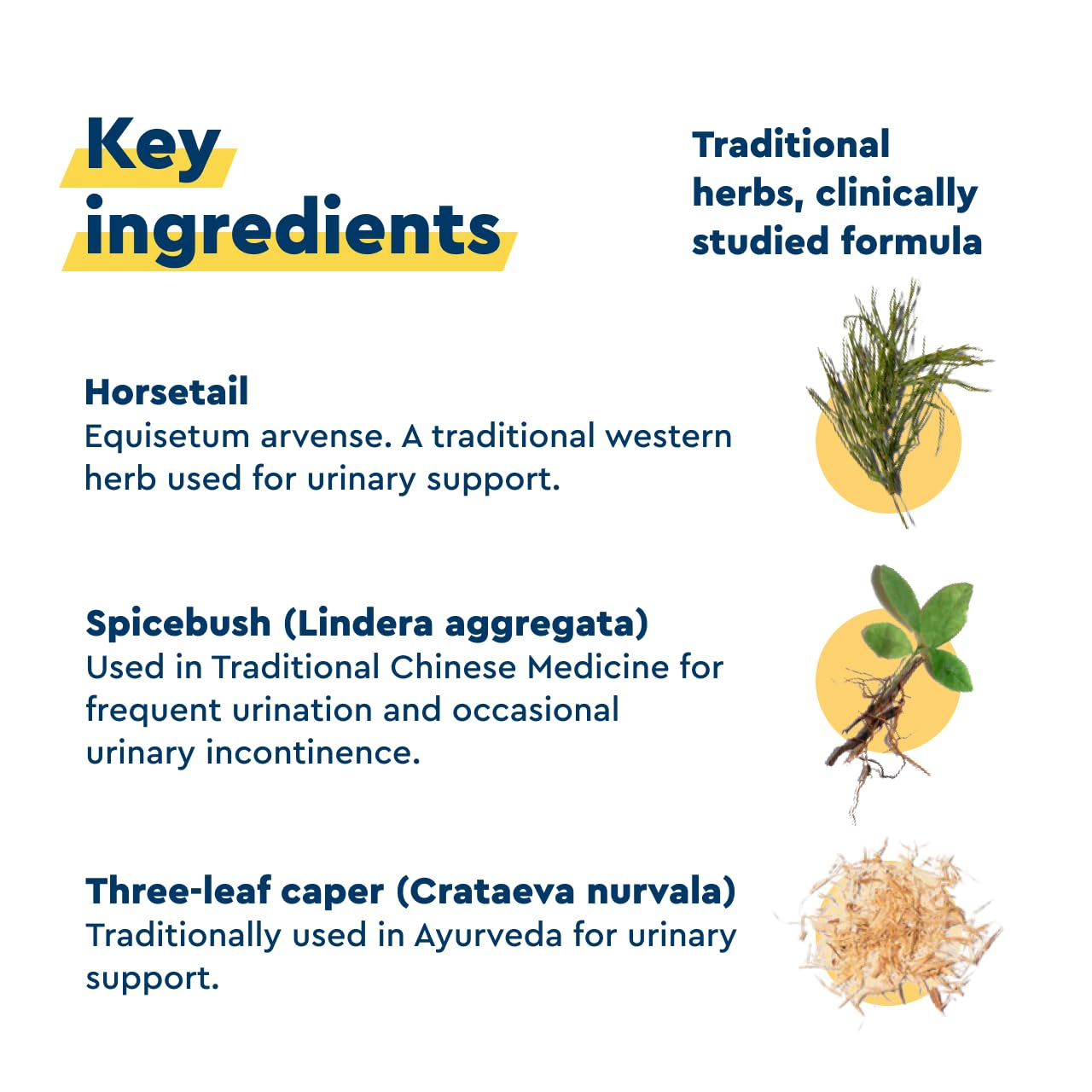Uqora in Control Bladder Support - Daily Bladder Care & Support for Urinary Comfort - Made with botanicals, Like Horsetail & Spicebush - Gluten-Free & Vegetarian - 60 Capsules Uqora uk supplements