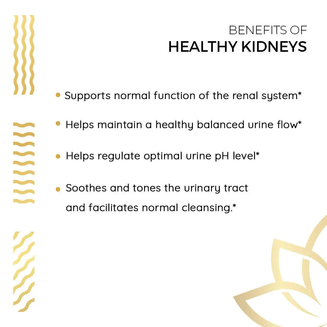 Kerala Ayurveda Healthy Kidney Herbal Tablets | Support Normal Kidney Function and Health | Kidney and Bladder Support | Urinary System Support - 90 Count Kerala Ayurveda uk supplements