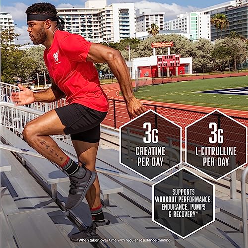BSN NITRIX 2.0 - Nitric Oxide Precursors, 3g Creatine, 3g L Citrulline - Supports Workout BSN uk supplements