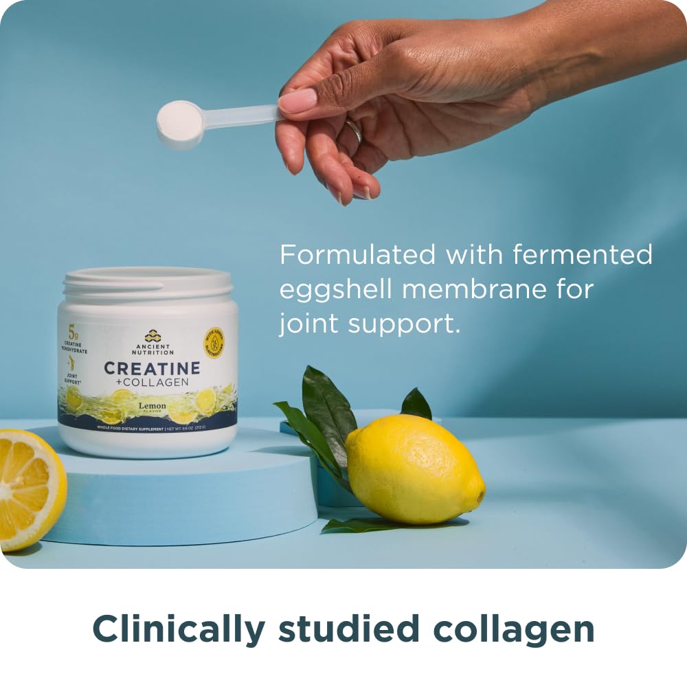 Ancient Nutrition Creatine + Collagen – Muscle Strength, Lean Body Mass, Joint Comfort & Cognitive Support – Includes 5g Creatine Monohydrate for Women + Electrolytes, Lemon, 30 Servings Ancient Nutrition uk supplements