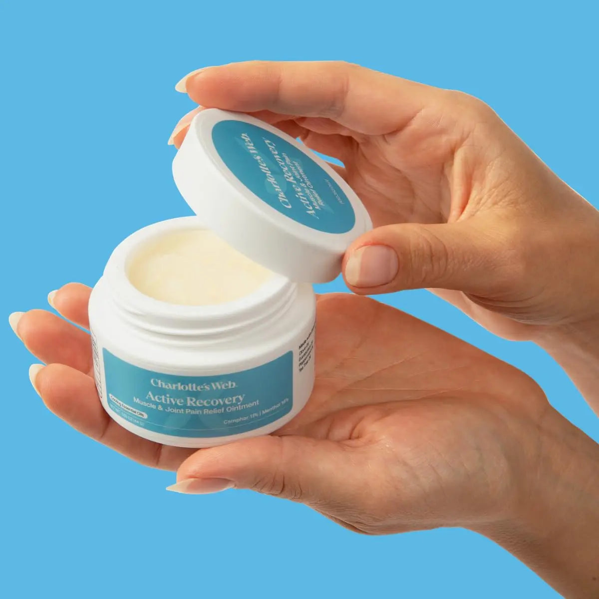 Charlotte's Web Active Recovery Muscle & Joint Relief Ointment 1.55oz Charlotte's Web uk supplements
