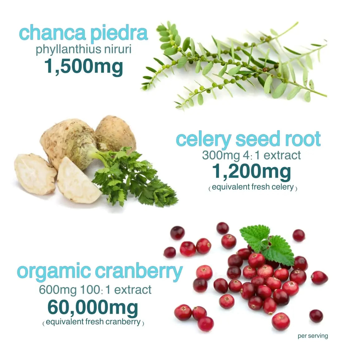 Holistic MD Stone Breaker Chanca Piedra 1,500mg Gummies Kidney Stones Cleanse Gallbladder Formula | Plus Cranberry Extract Might Help Urinary Tract Flush Impurities | Fast Absorption Sugar Free 60ct Holistic MD uk supplements