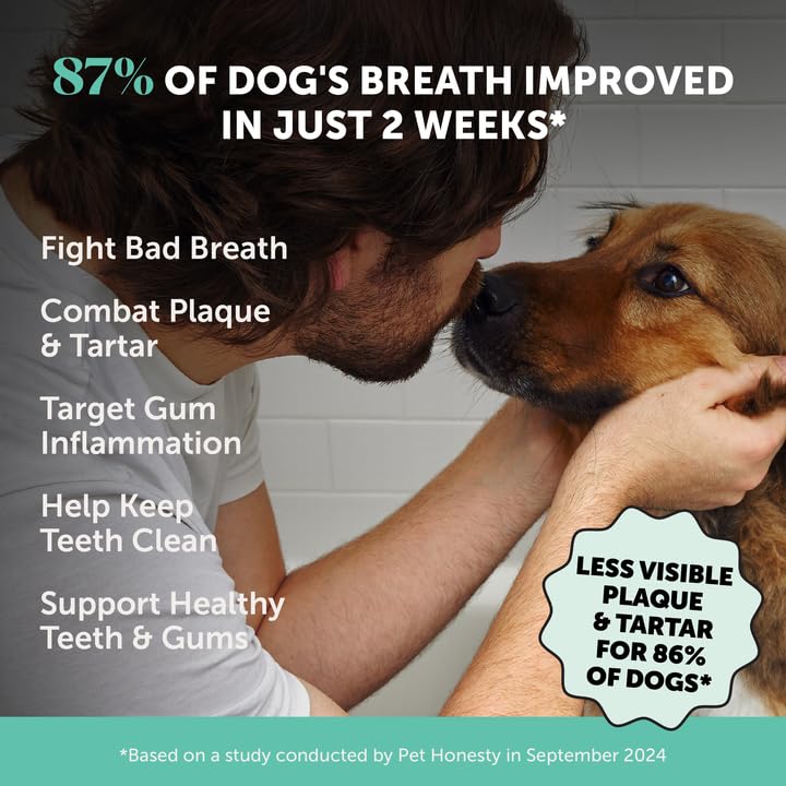 Dog Breath Freshener Dental Powder for Teeth Cleaning Plaque Off, Dental Care for Dogs, Tartar Remover for Teeth with Natural Herbal Blend + Postbiotics (Mint - 30 Servings) Pet Honesty uk supplements