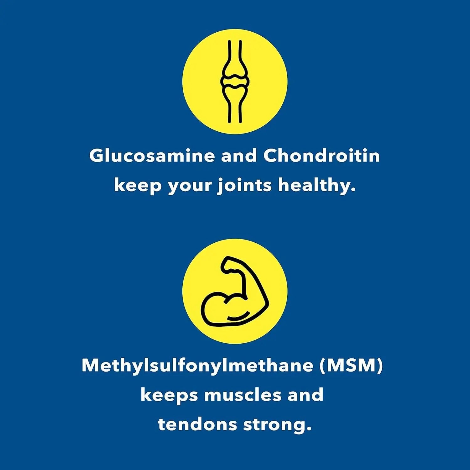 Healthy Joints System Glucosamine Chondroitin MSM Supplement for Joint & Bone Health - 120 Capsules | Joint Support & Discomfort Relief for Back, Knees, Hands Healthy Joints System uk supplements